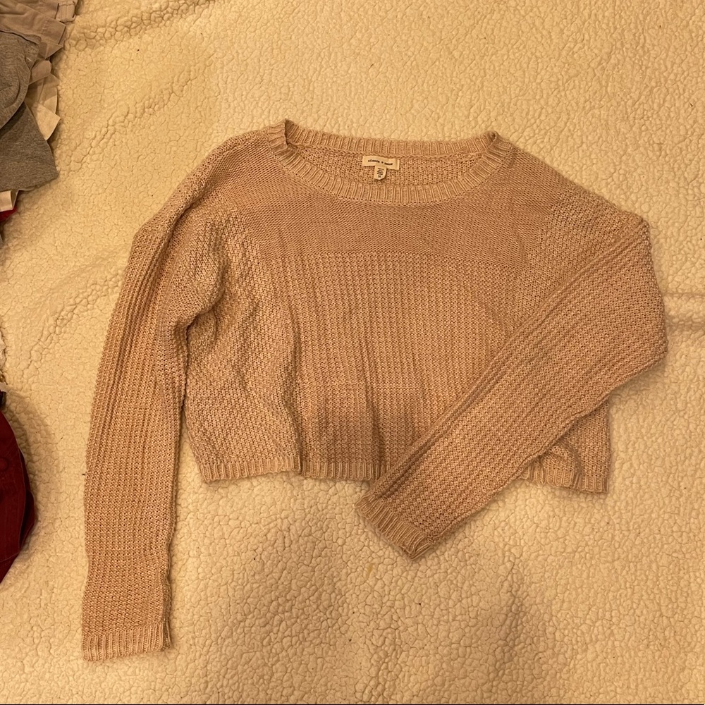 Light pink crop sweater